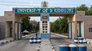 University Of Maiduguri School Fees